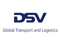 DSV Logo